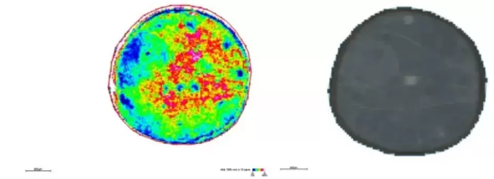 Spatial distribution and segmentation mapping of metabolites m/z 464.1908 at 20 μm resolution